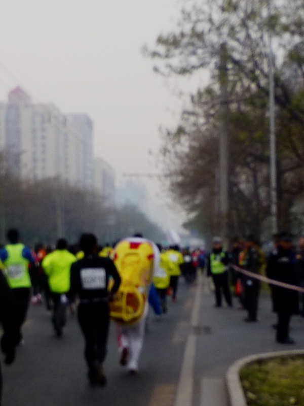 p1000158.jpg