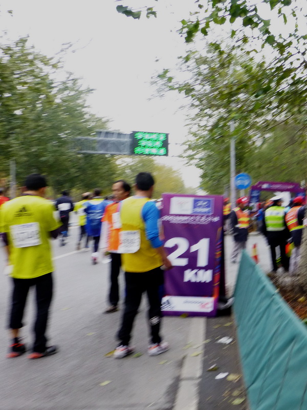 p1000166.jpg