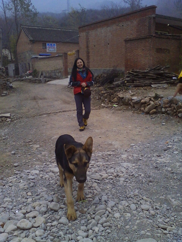 img1109090801_.jpg