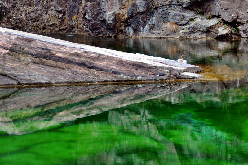 dsc_0909.jpg