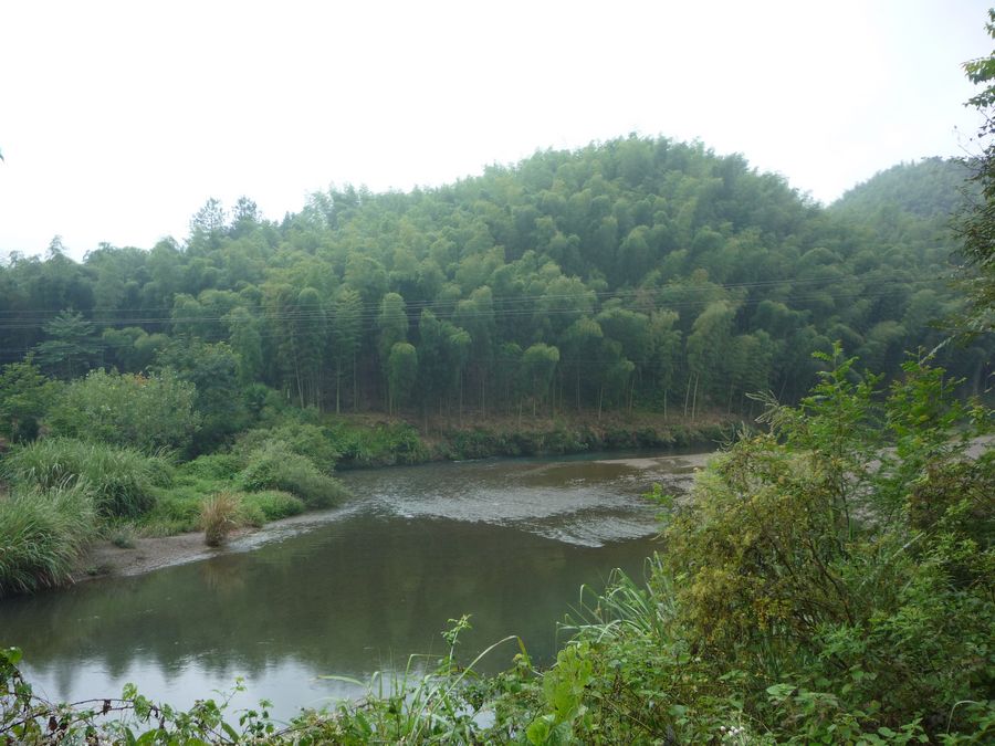 p1130732.jpg