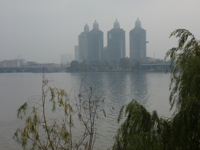 p1130419.jpg