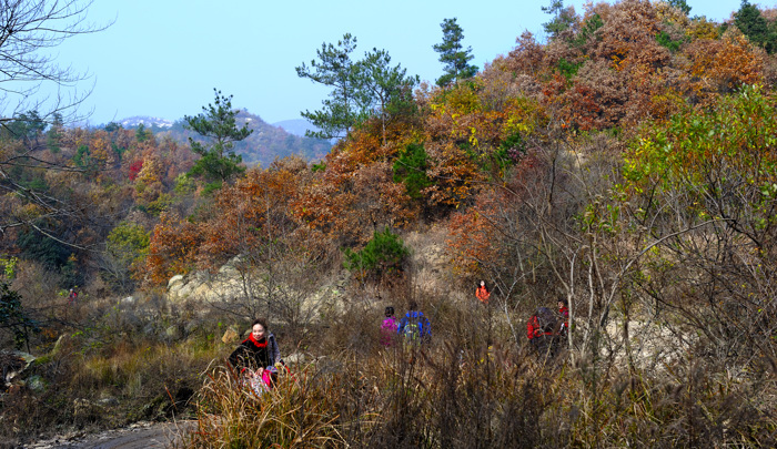 _dsc5913.jpg