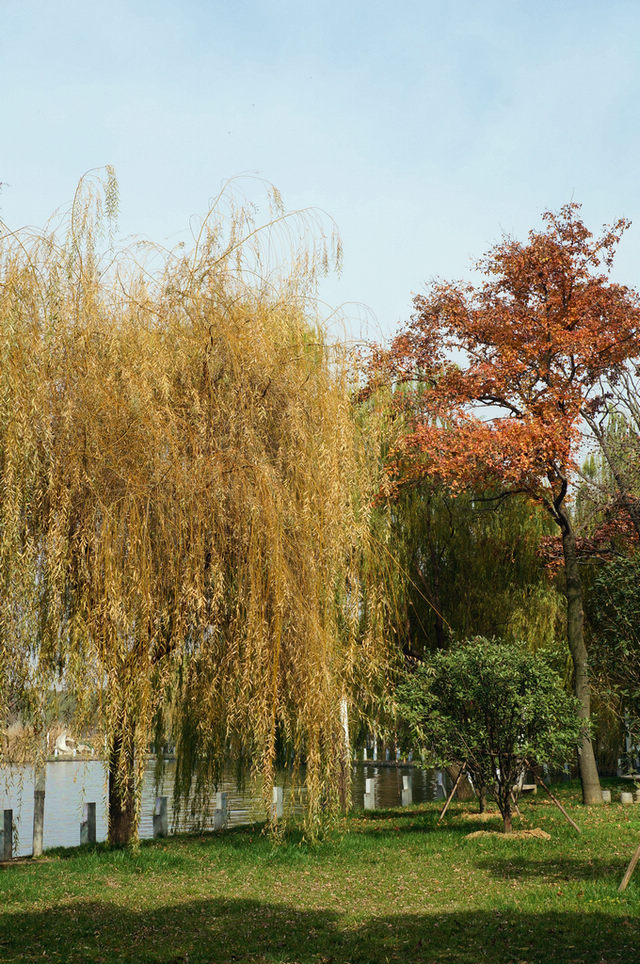 dsc08211.jpg
