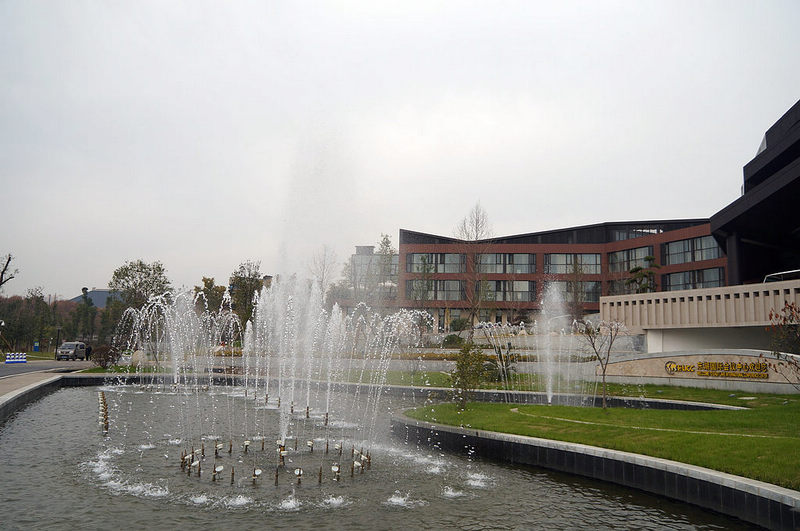 dsc08257.jpg