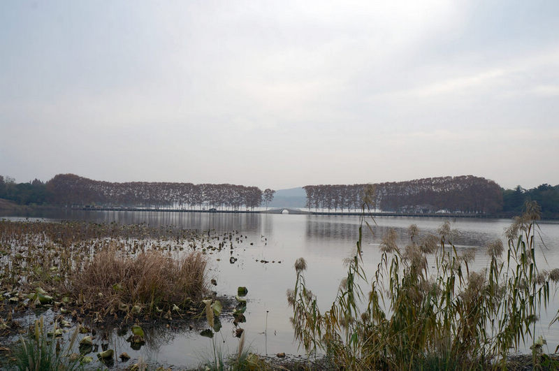 dsc08290.jpg