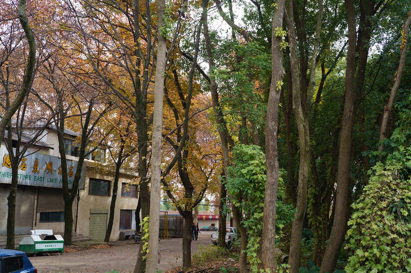 dsc08313.jpg