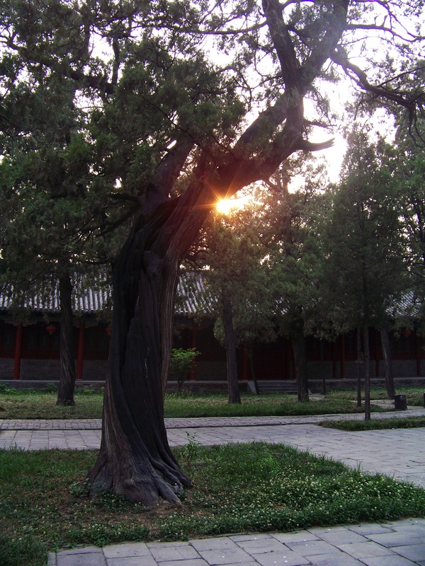 100_9984-1.jpg