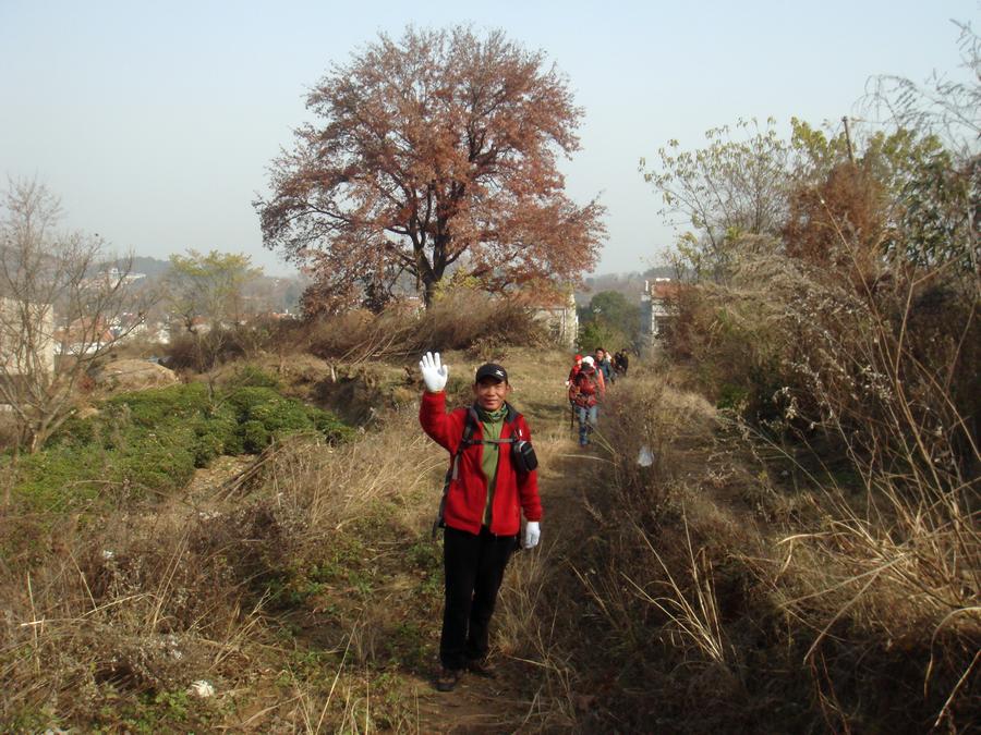 dsc01394-1.jpg