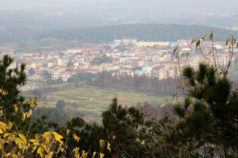 817a1214p.jpg
