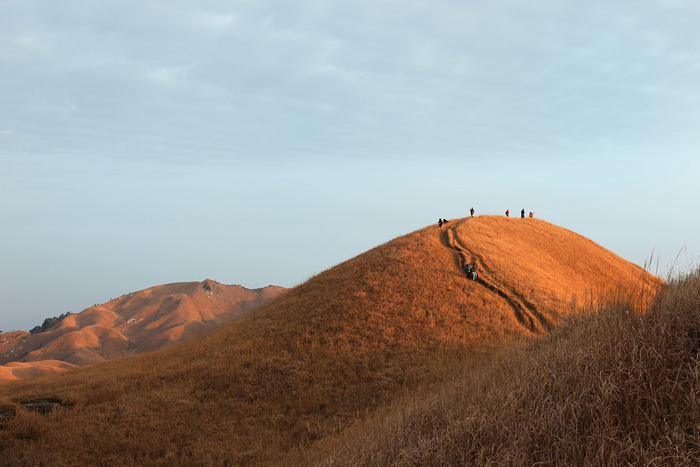 dsc_2445-0-1.jpg