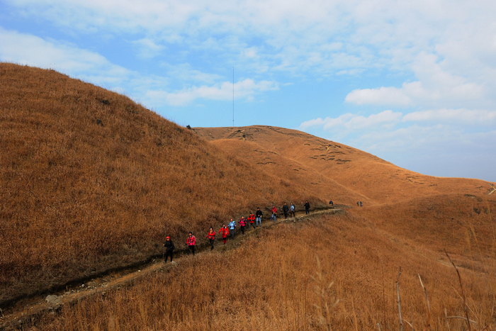 dsc_2333-0-1.jpg