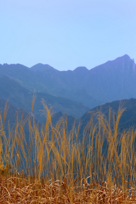 dsc_2317-0.jpg