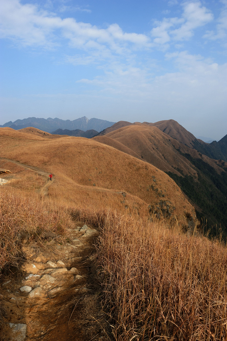 dsc_2350-0-1.jpg