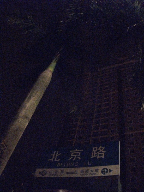 dscf0069.jpg
