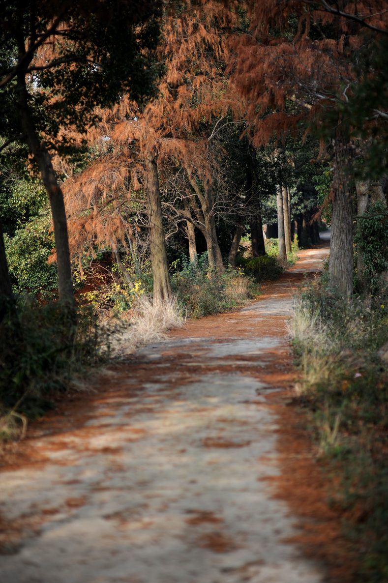 dsc_3472.jpg
