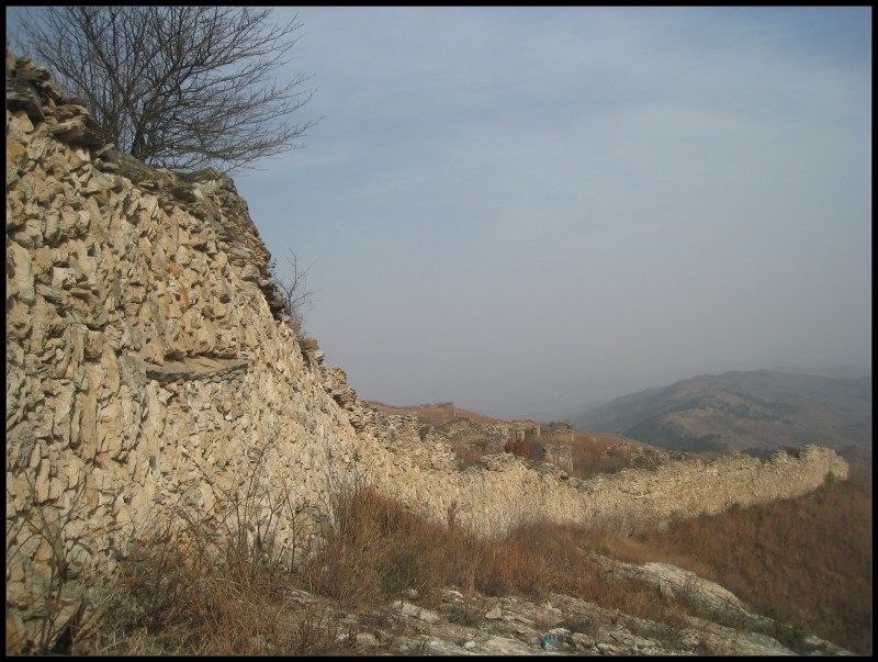 conew_img_6286.jpg