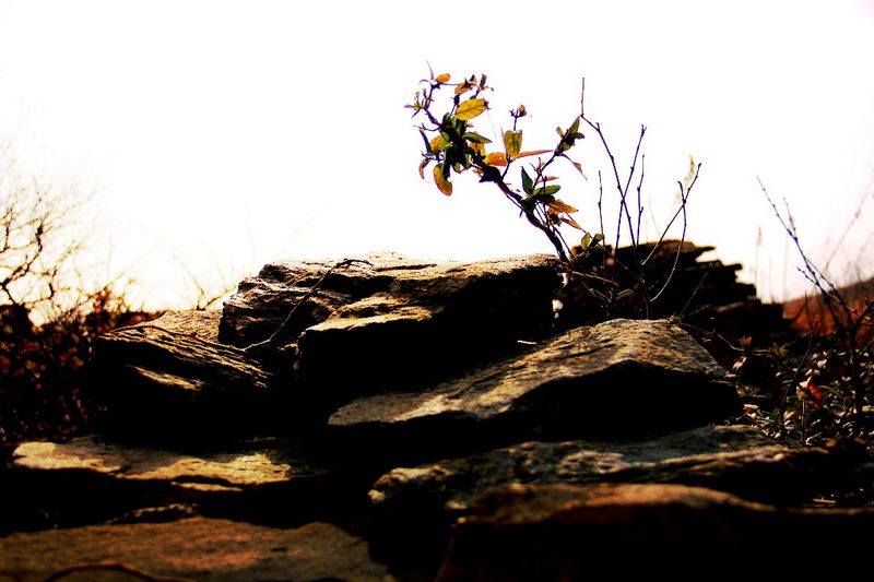 _mg_2905.jpg