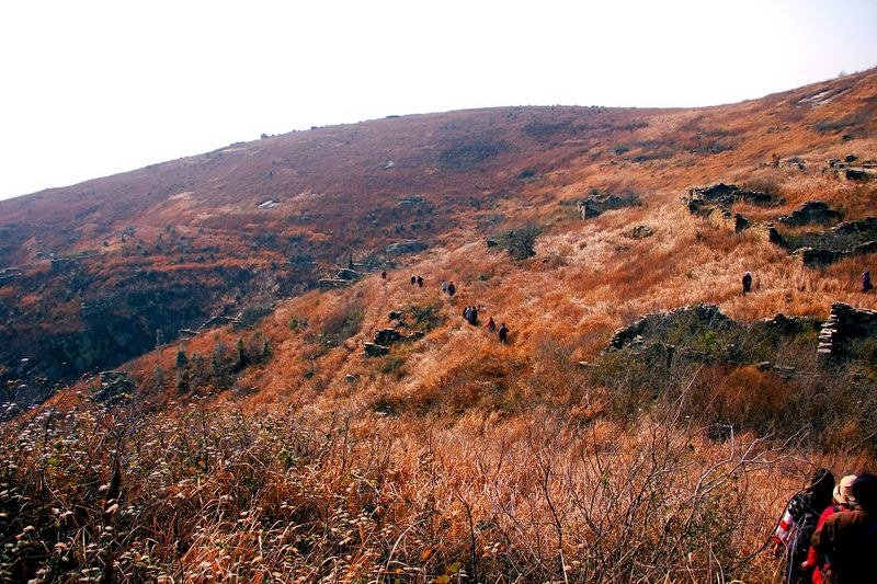 _mg_2919.jpg