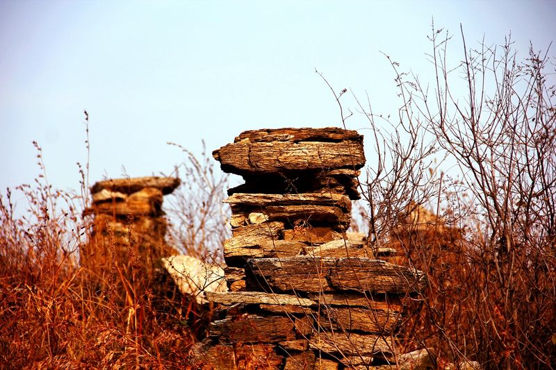 _mg_2969.jpg