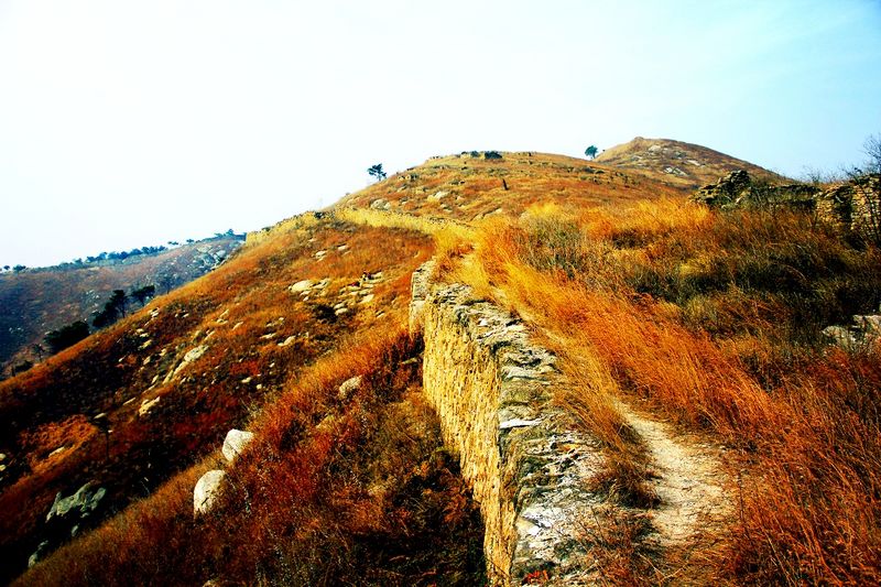 _mg_2973.jpg