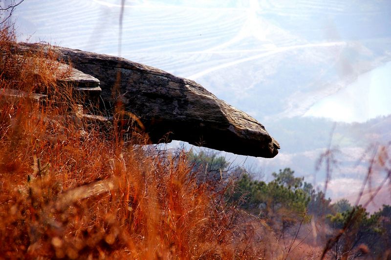_mg_3015.jpg