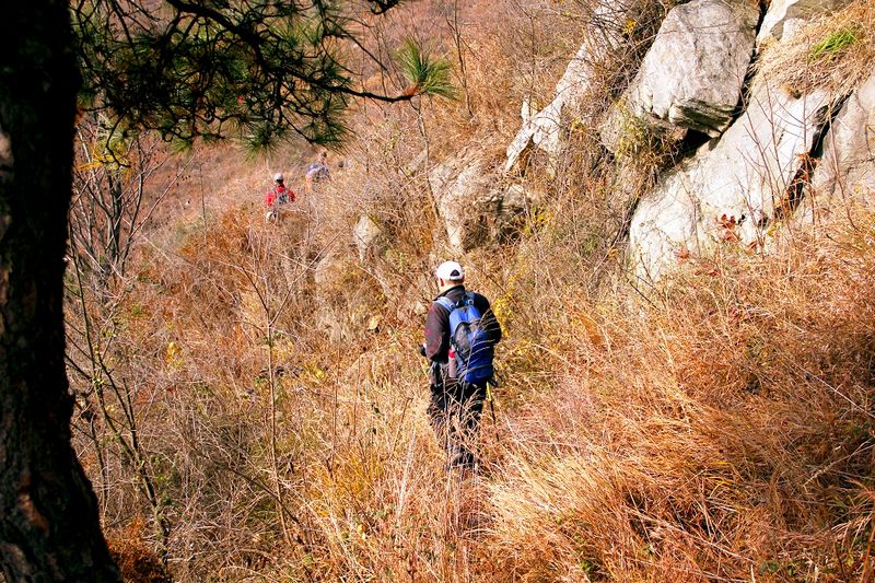 _mg_3017.jpg