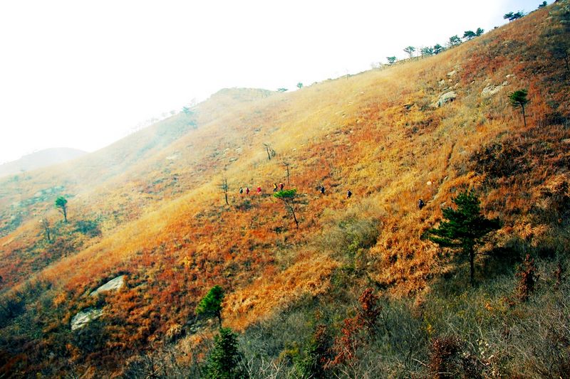 _mg_3018.jpg