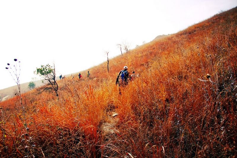 _mg_3024.jpg
