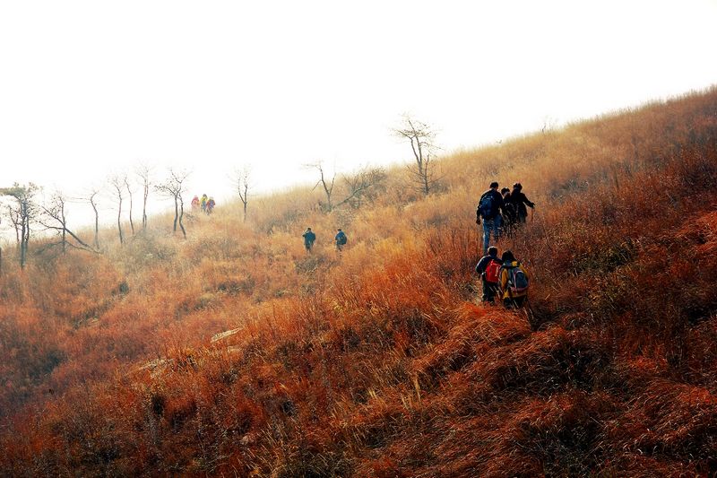 _mg_3028.jpg