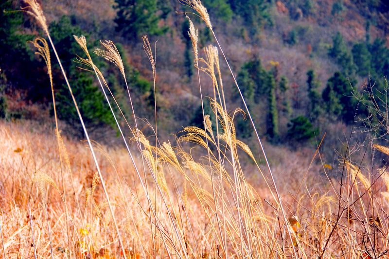 _mg_3029.jpg