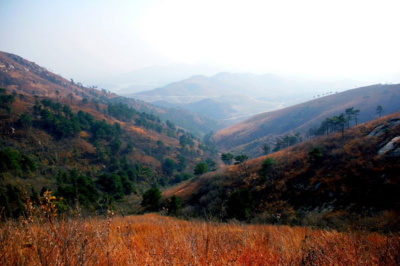 _mg_3031.jpg