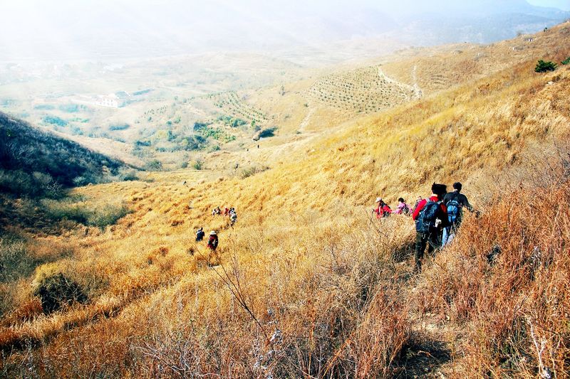 _mg_3050.jpg