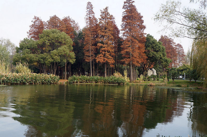 dsc08194.jpg