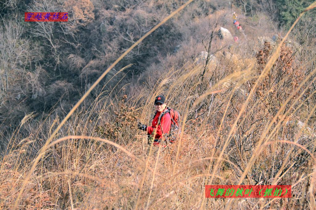 img_0058.jpg