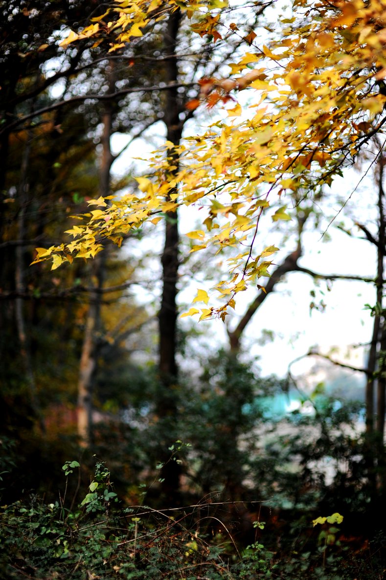 dsc_3008.jpg