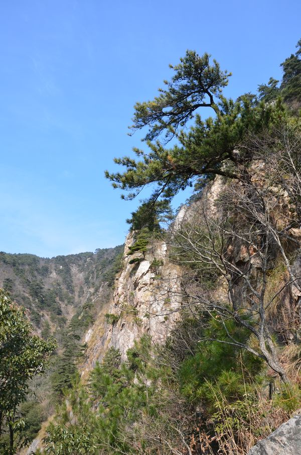 dsc_0609a.jpg