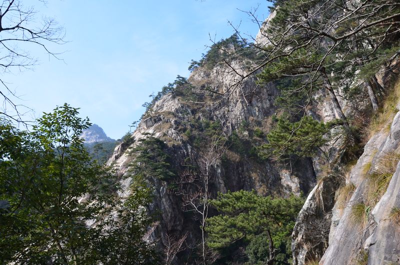 dsc_0596a.jpg
