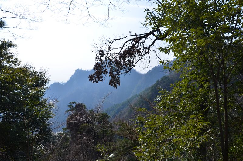 dsc_0598a.jpg
