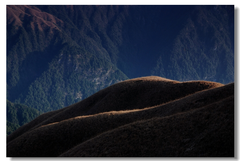 dsc_7051-1.jpg