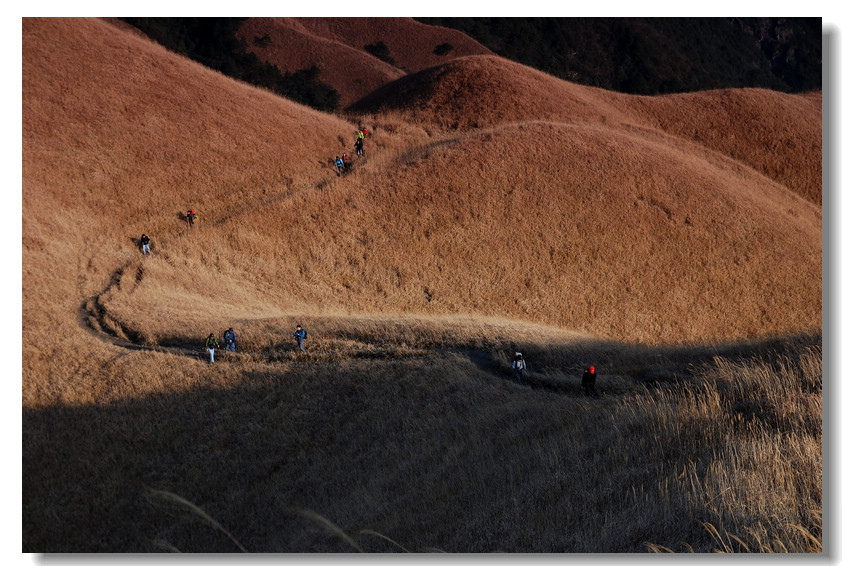 dsc_7056-1.jpg