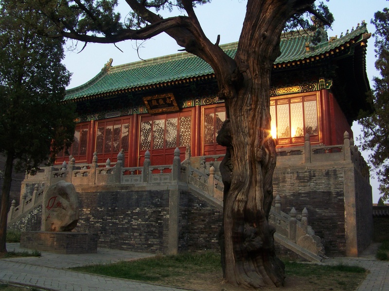100_9998-1.jpg