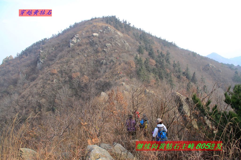 img_0060.jpg