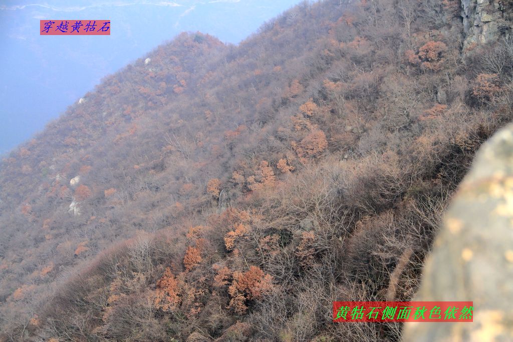 img_0061.jpg