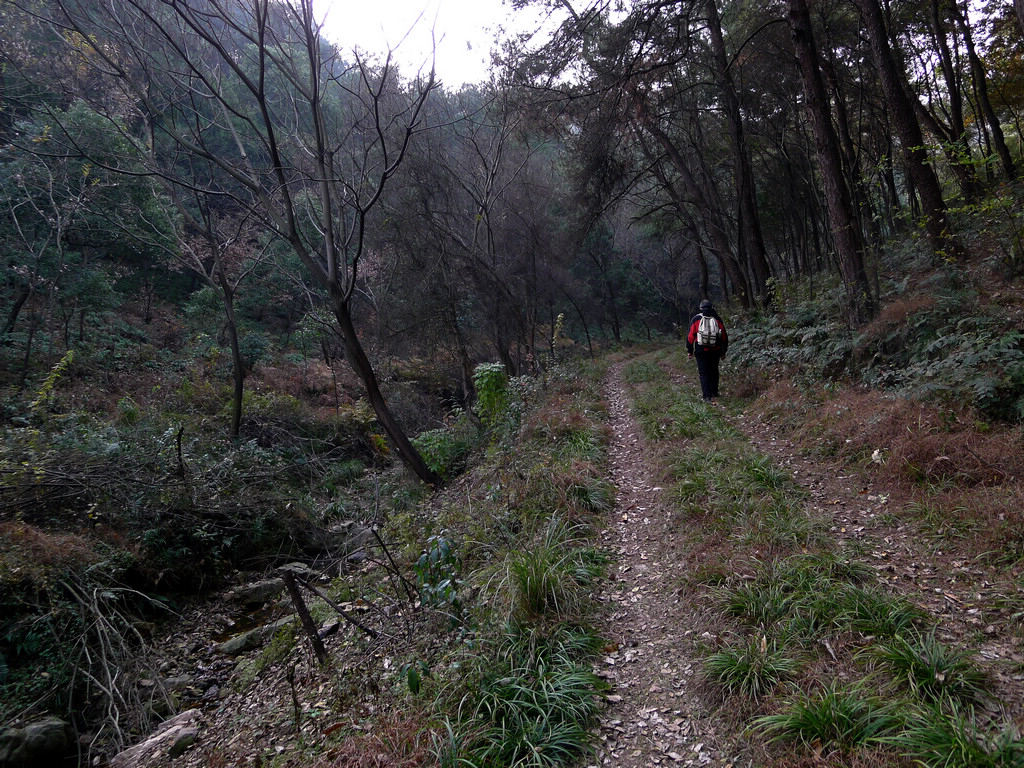 p1180005.jpg