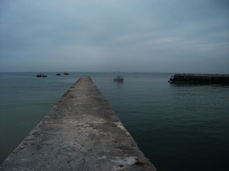 dscf0088.jpg