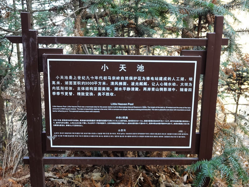 dsc02462.jpg