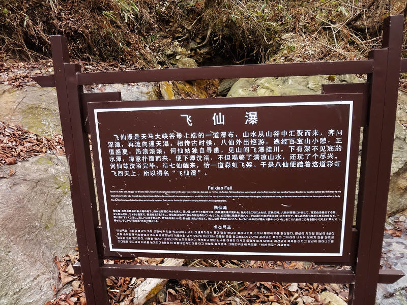 dsc02558.jpg