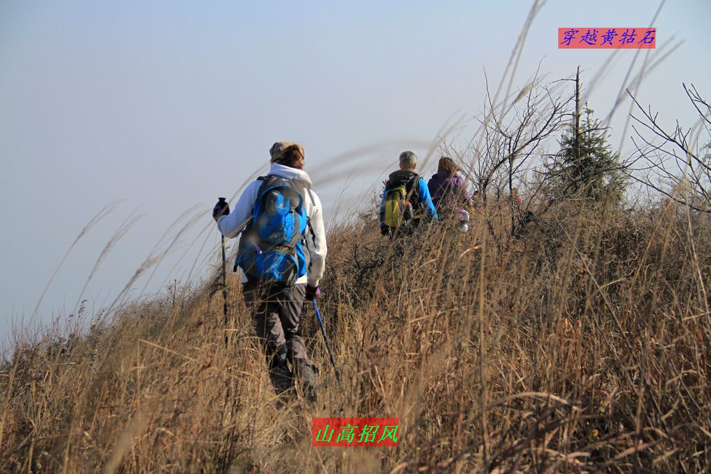 img_0076.jpg