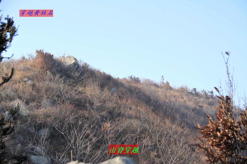img_0084.jpg